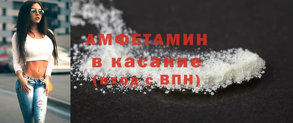 индика Богданович