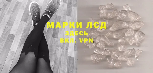 индика Богданович