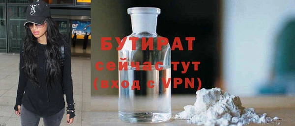 индика Богданович