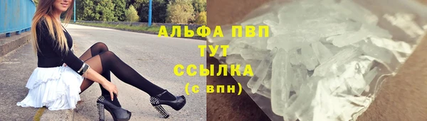 СК Богородицк