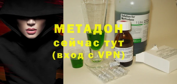 индика Богданович