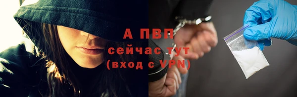 СК Богородицк