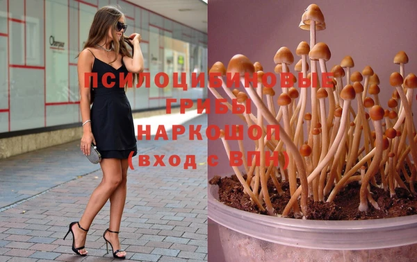 индика Богданович