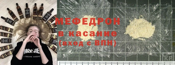 индика Богданович