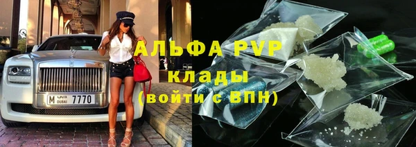 спиды Богородск