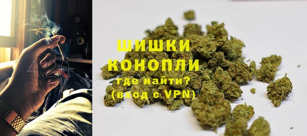 спиды Богородск