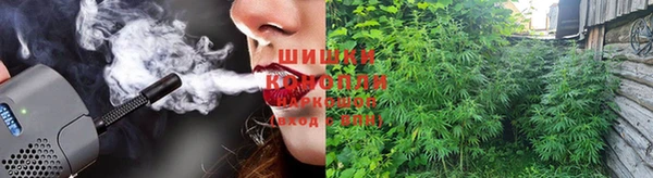 СК Богородицк