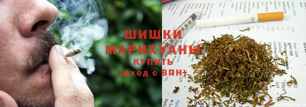 индика Богданович