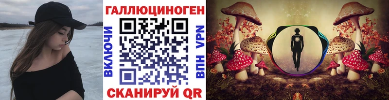 МЕГА маркетплейс  Дорогобуж  Псилоцибиновые грибы Magic Shrooms 