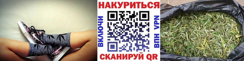 Канабис конопля  Дорогобуж 